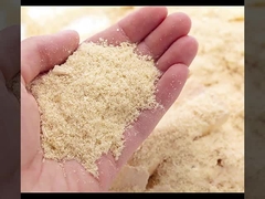 WPC geriffelt feuerfesten und feuchtigkeitsfesten den Wand-Fabrik-Großverkauf