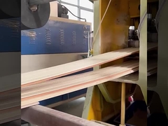 Wand-Fabrik-direktes wasserdichtes WPC schalldichte und feuchtigkeitsfest