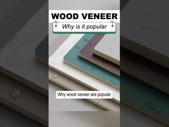 Feste Breiten-hölzerne Korn-Furnierholz PVC-Wand der Innenausstattungs-1.22m